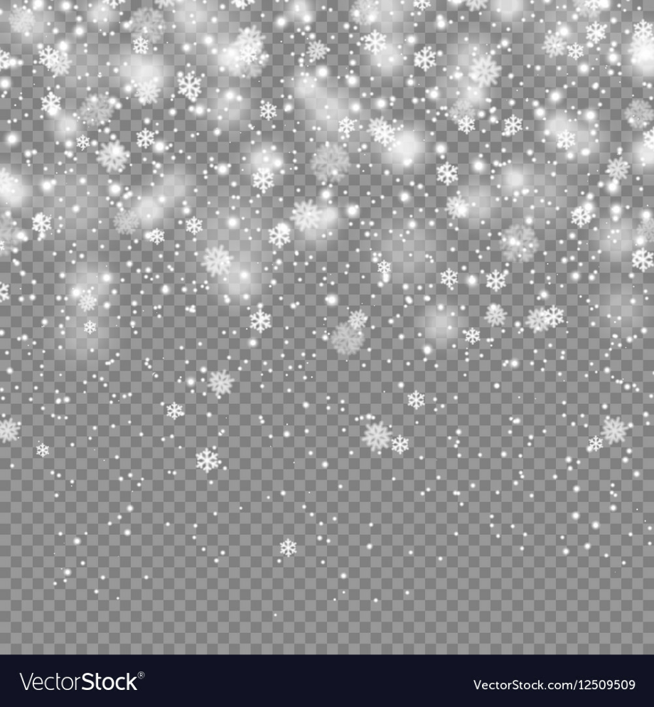 snow transparent background