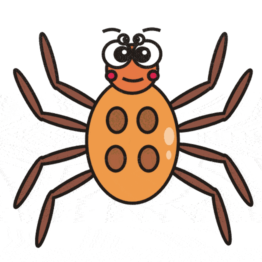 spider clipart insect