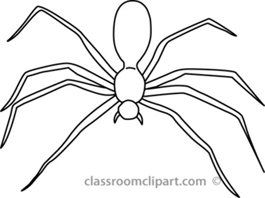 spider clipart drawing