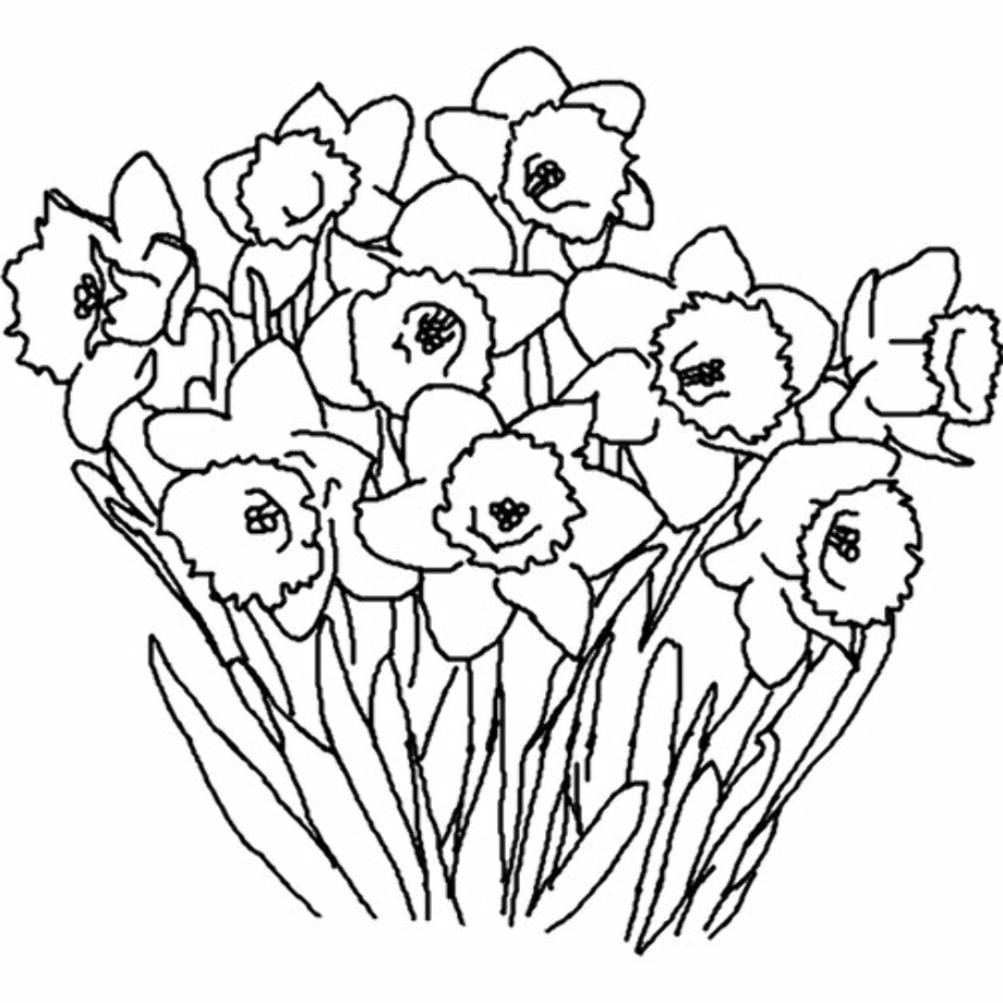 spring flowers clipart drawing
