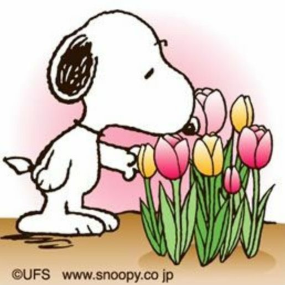 Spring clipart snoopy.