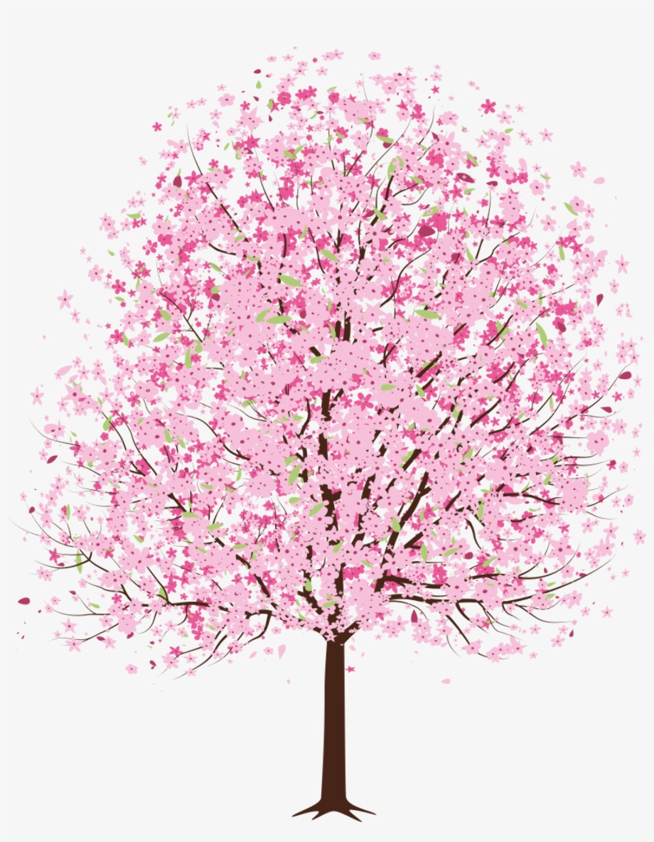 tree transparent blossom