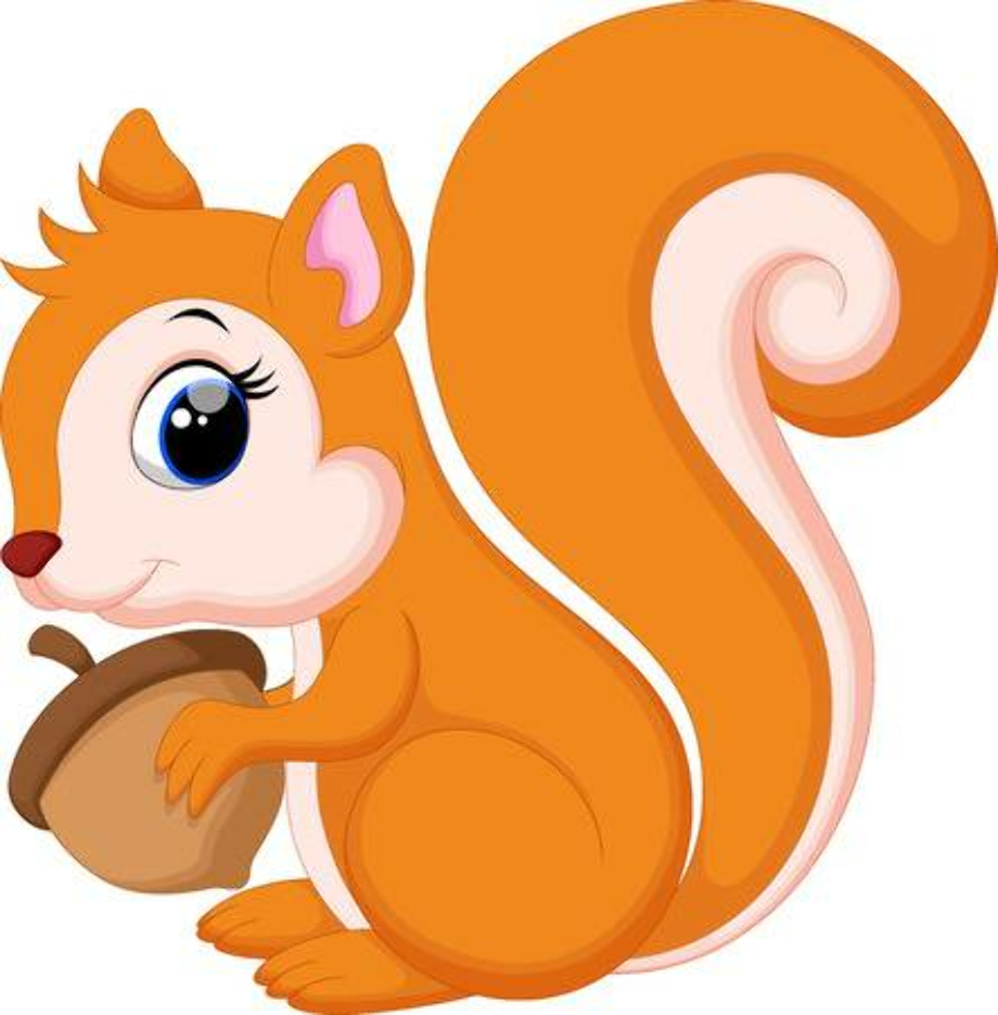 Download High Quality squirrel clipart Transparent PNG Images - Art