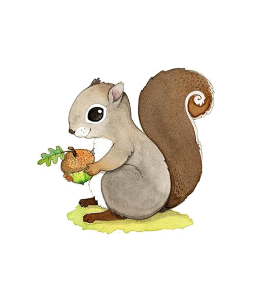 Download High Quality squirrel clipart nursery Transparent ...