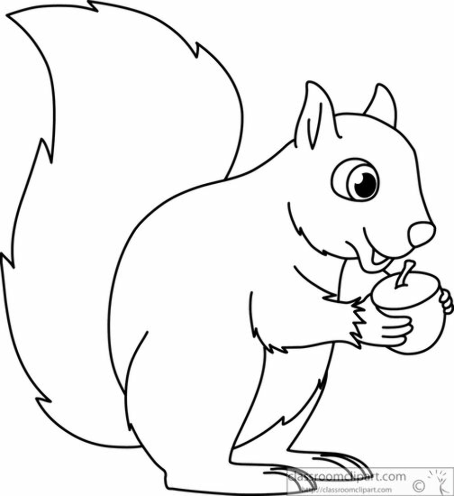 squirrel clipart outline