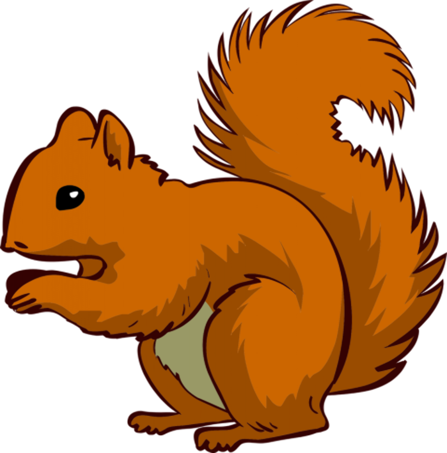 Download High Quality squirrel clipart realistic Transparent PNG Images ...