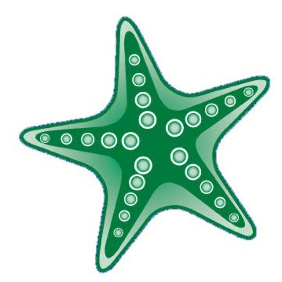 Download High Quality starfish clipart green Transparent PNG Images