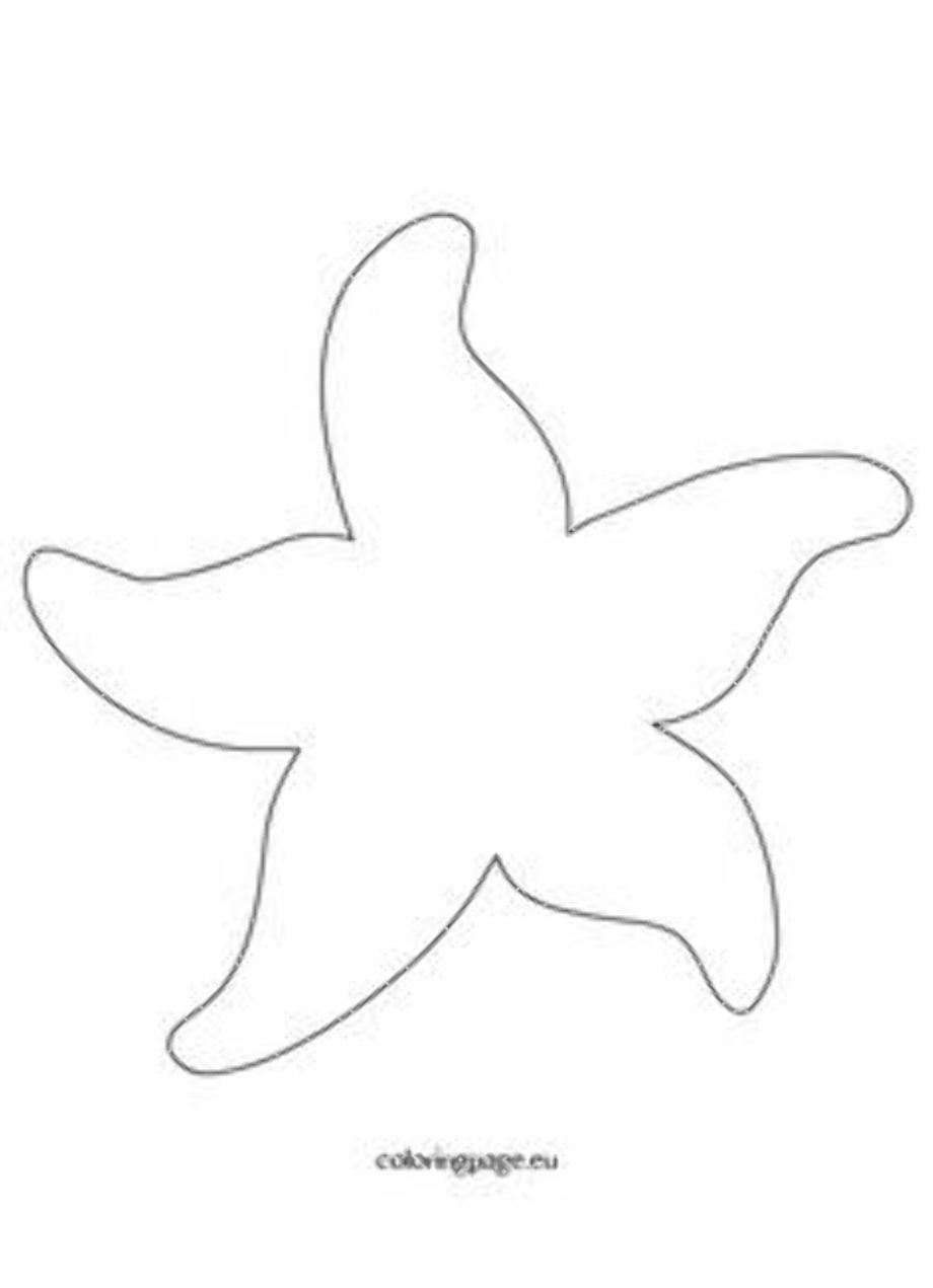 Starfish Outline Printable