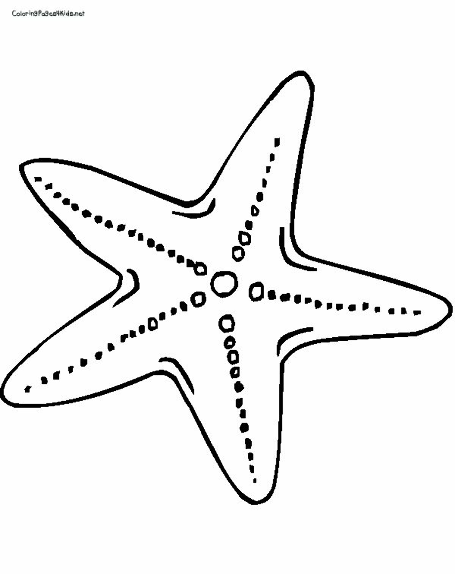 Download High Quality starfish clipart outline Transparent PNG Images