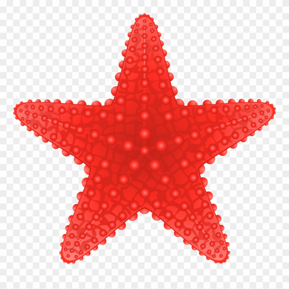 starfish clipart simple