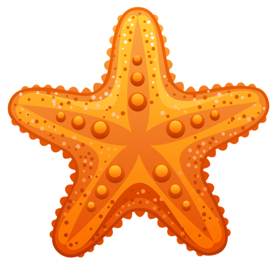 starfish clipart beach