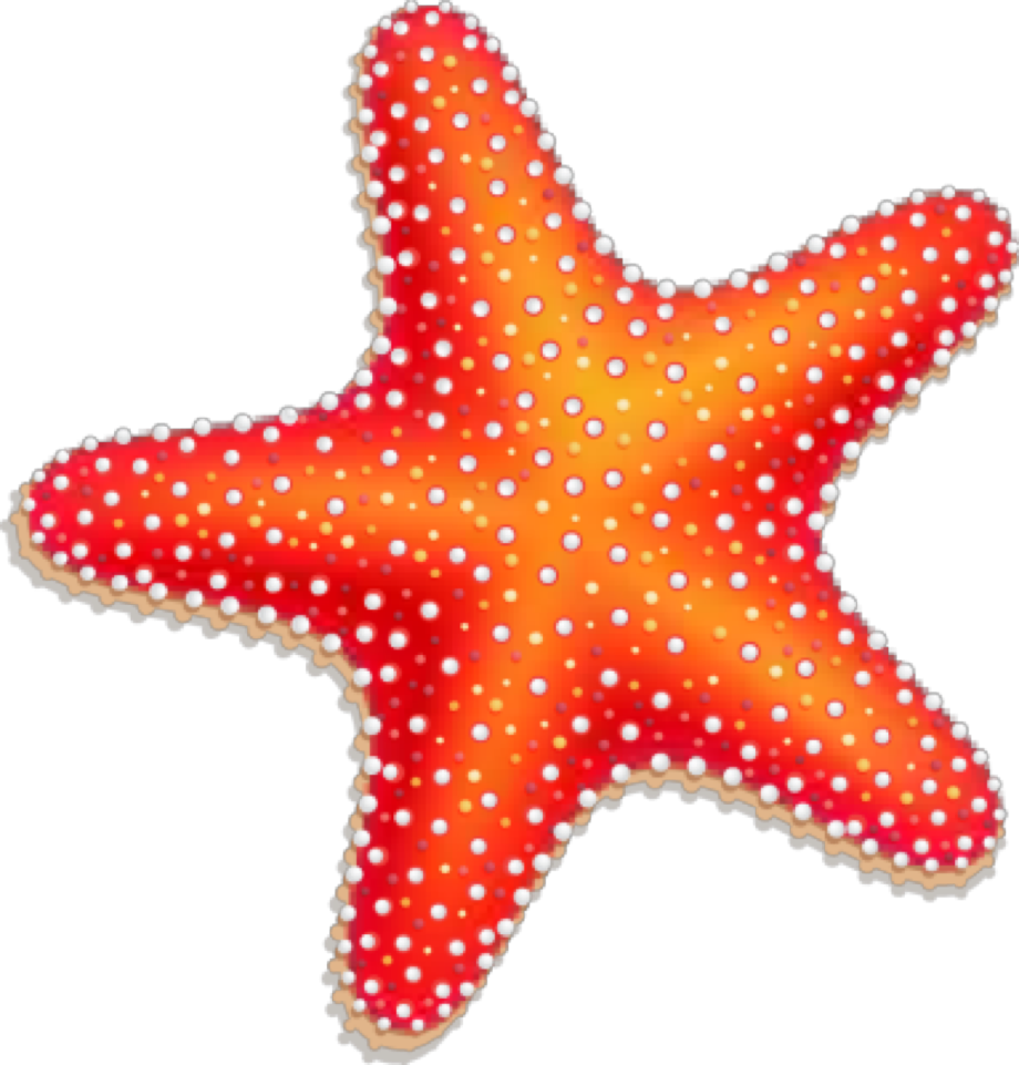 Download High Quality Starfish Clipart Vector Transparent Png Images