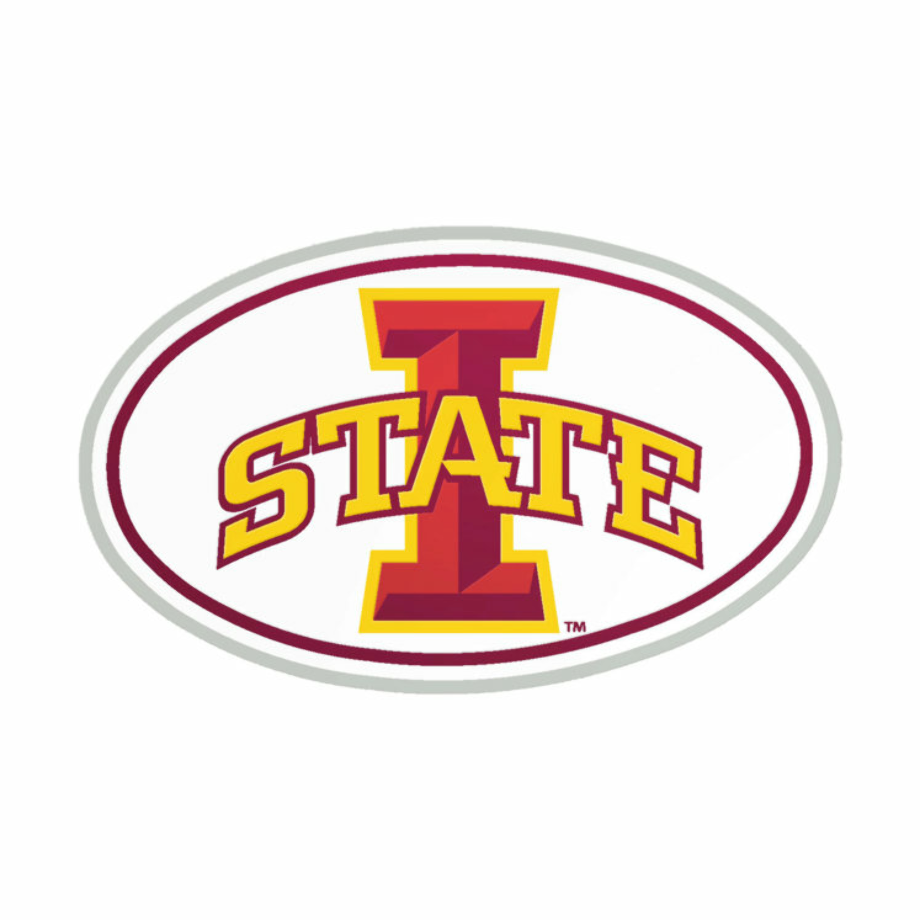state farm logo emblem