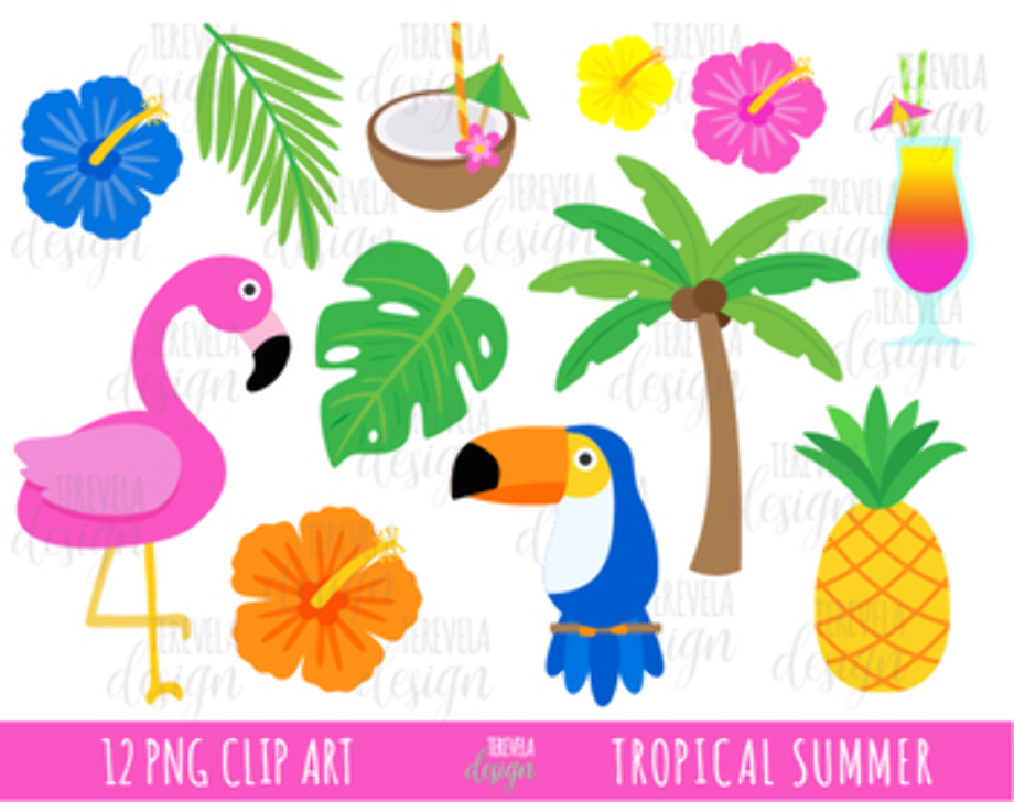 flamingo clip art summer