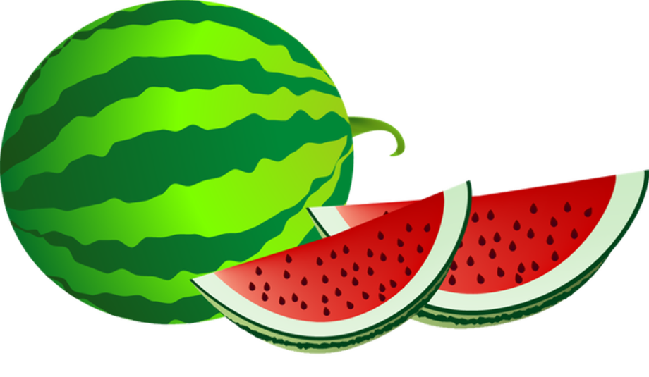 summer clipart watermelon