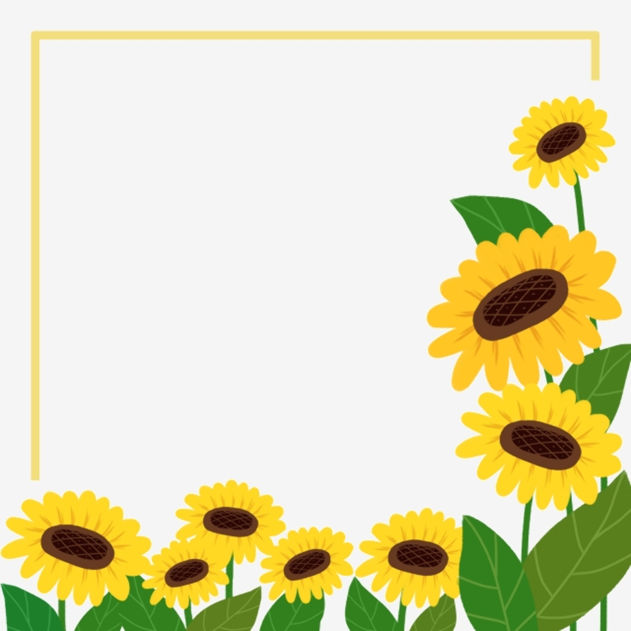 Download High Quality sunflower clip art border Transparent PNG Images