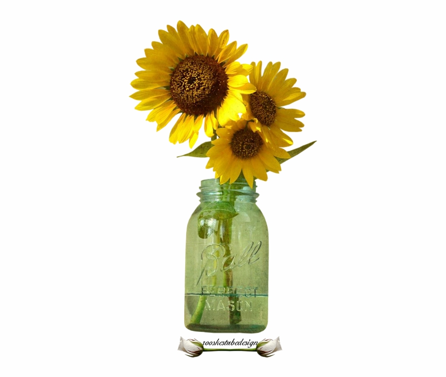 Download Download High Quality sunflower clip art mason jar ...