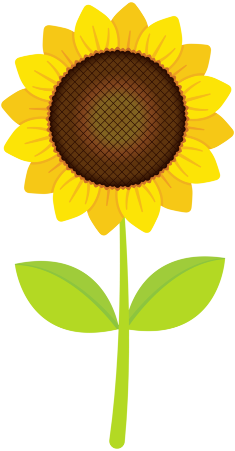 sunflower clip art sunshine