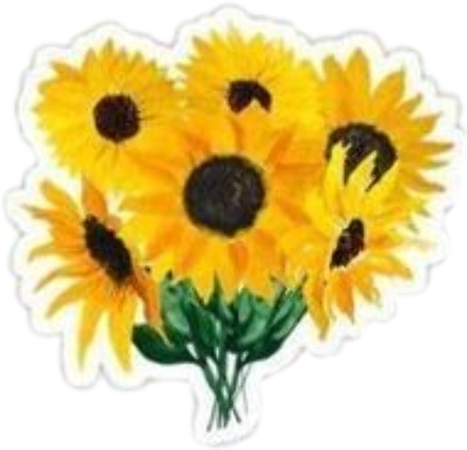 Download High Quality sunflower clipart aesthetic Transparent PNG