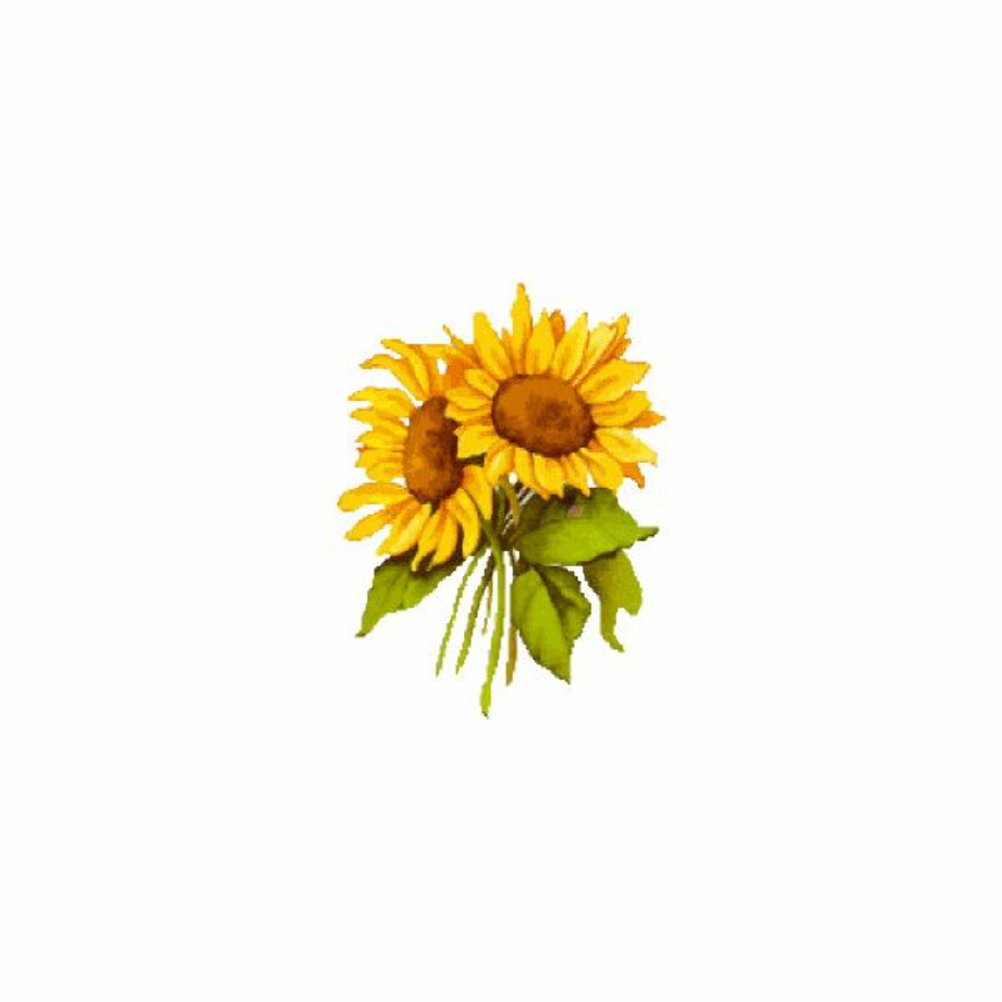 sunflower clipart aesthetic