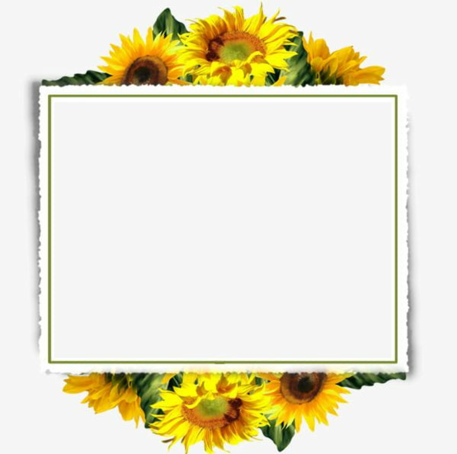 Free 158 Sunflower Border Clipart Free SVG PNG EPS DXF File