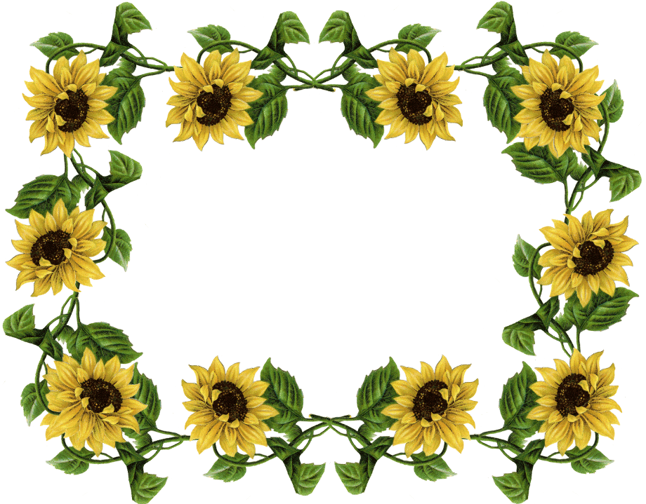 Free Free 337 Sunflower Clipart Free Sunflower Images SVG PNG EPS DXF File