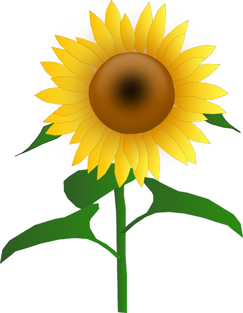 sunflower clip art cartoon