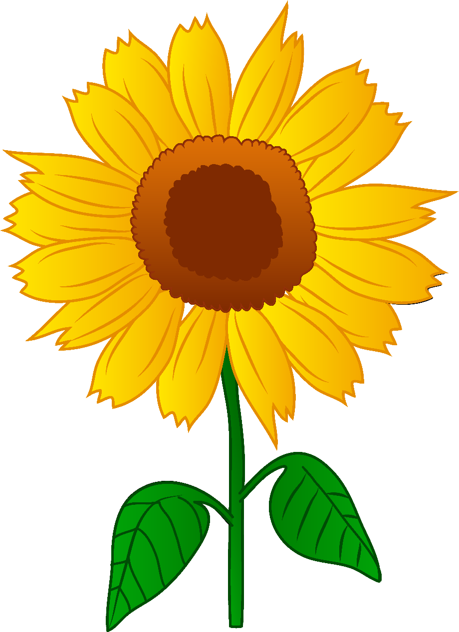 sunflower clip art vector
