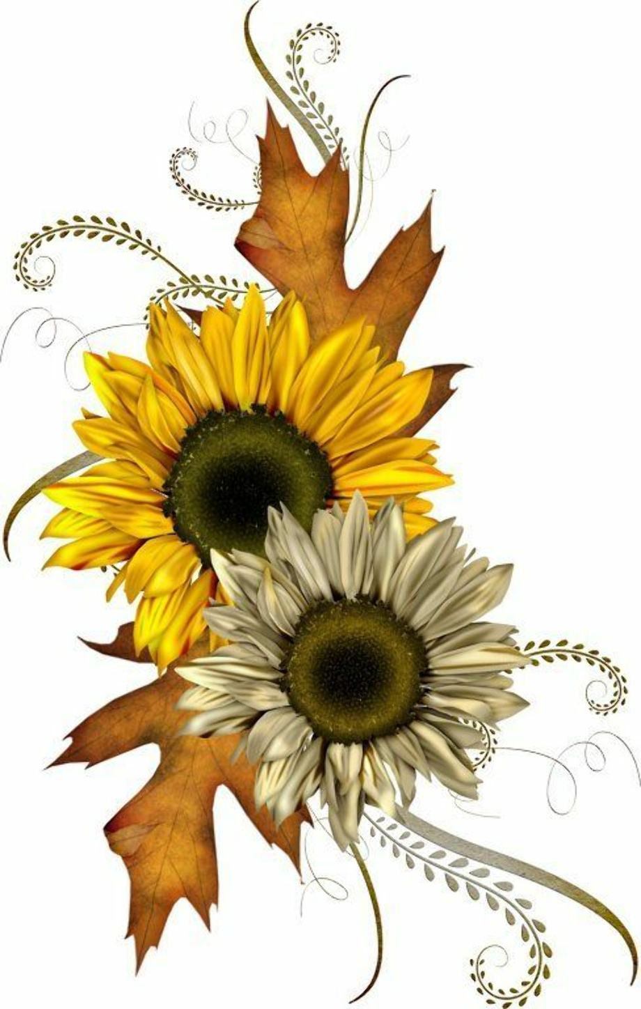 Download High Quality sunflower clip art fall Transparent PNG Images