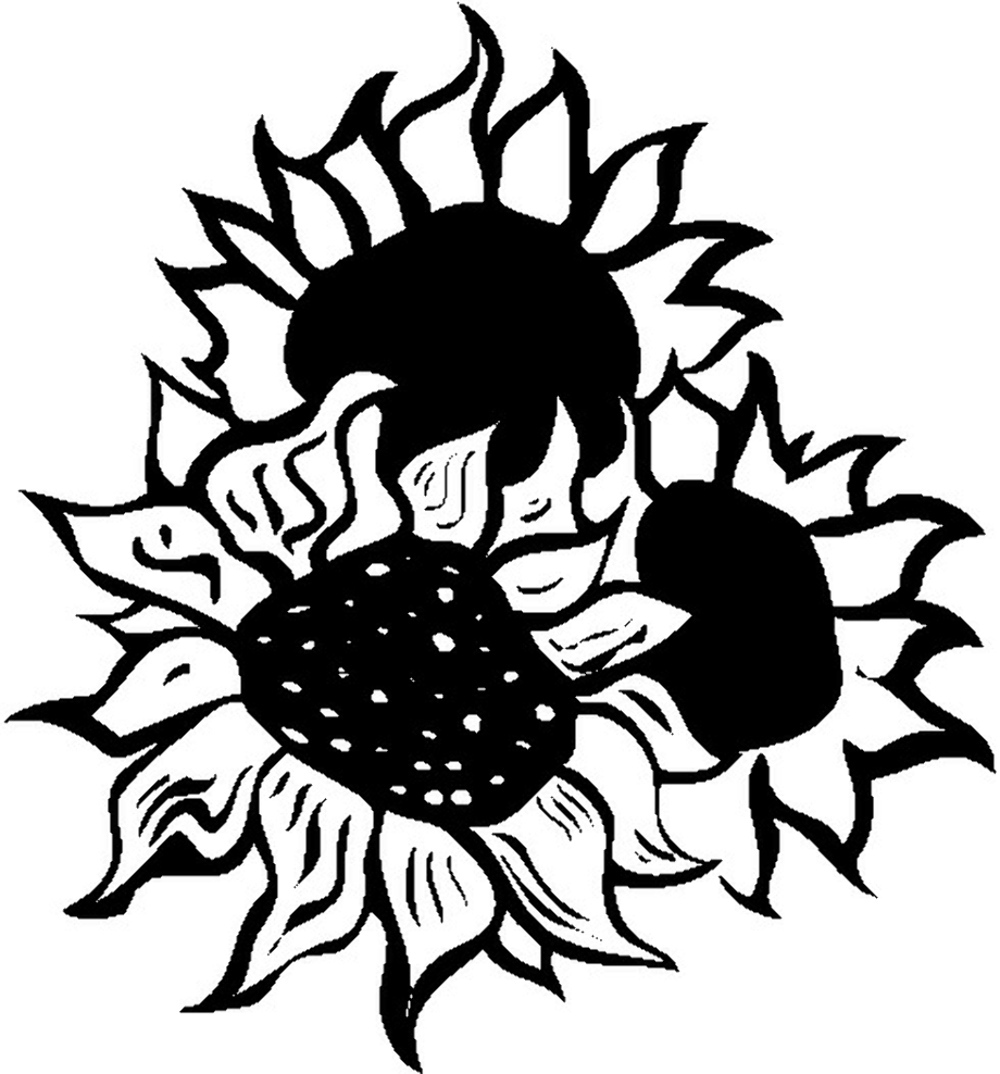 Download High Quality sunflower clip art line Transparent