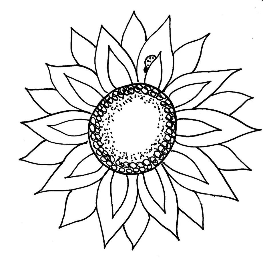 sunflower clip art black