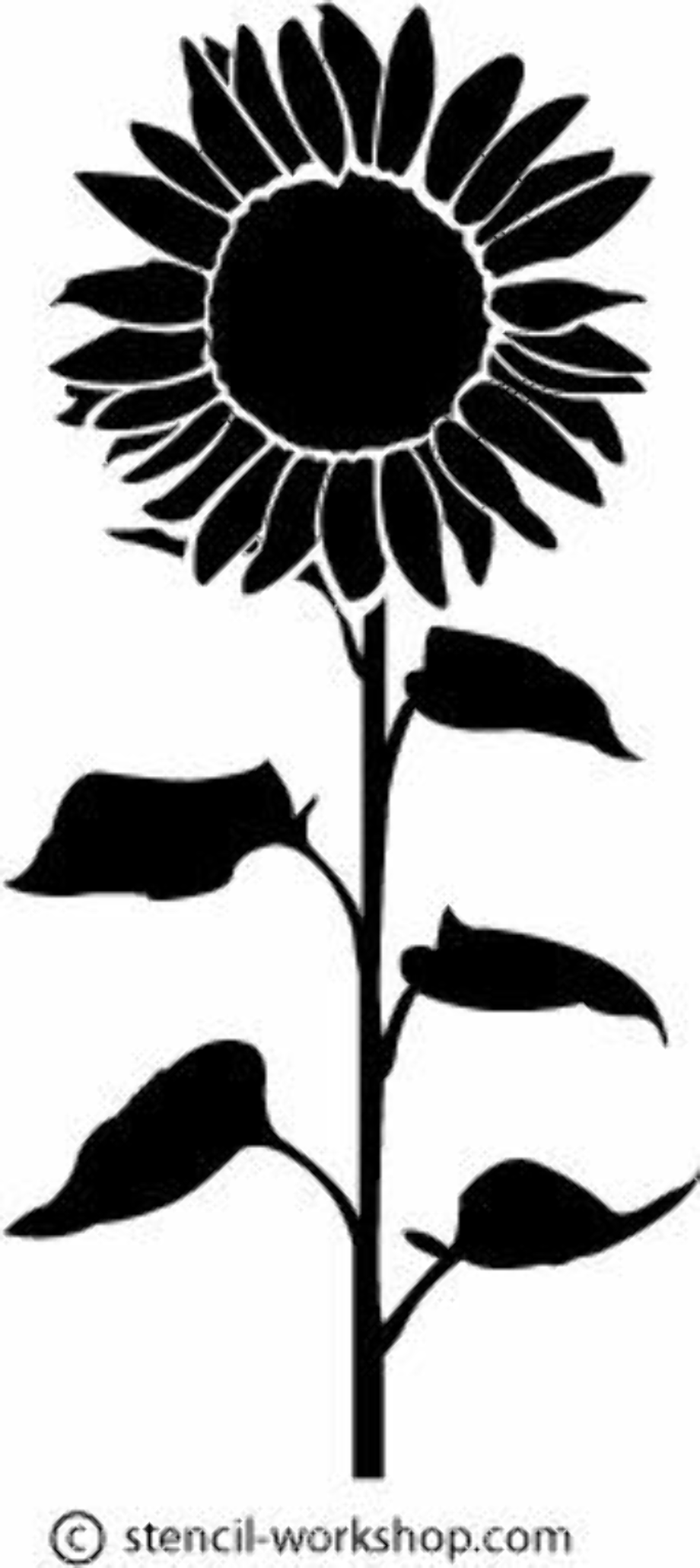 Download High Quality sunflower clip art silhouette Transparent PNG