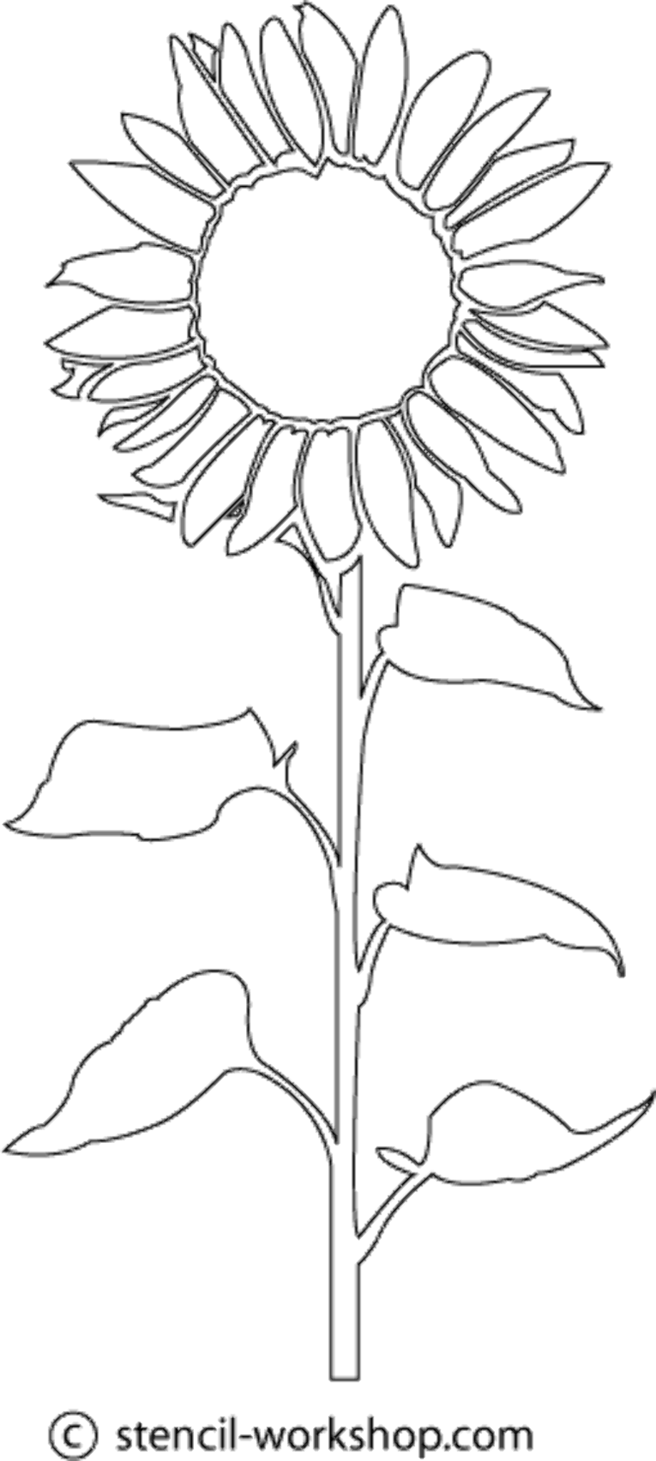 Download High Quality sunflower clip art template ...