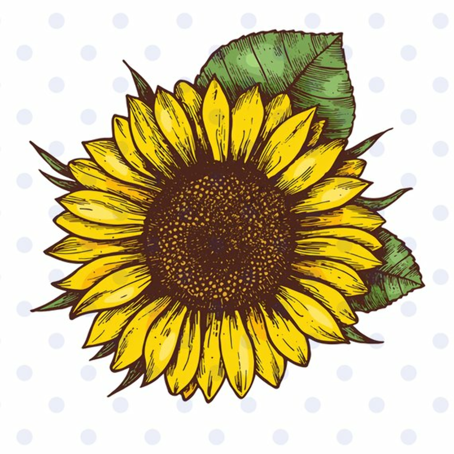Sunflower clipart.