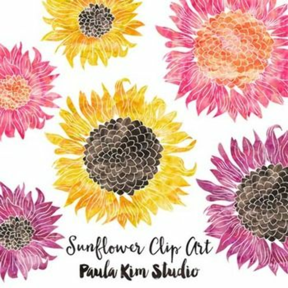 sunflower clip art watercolor