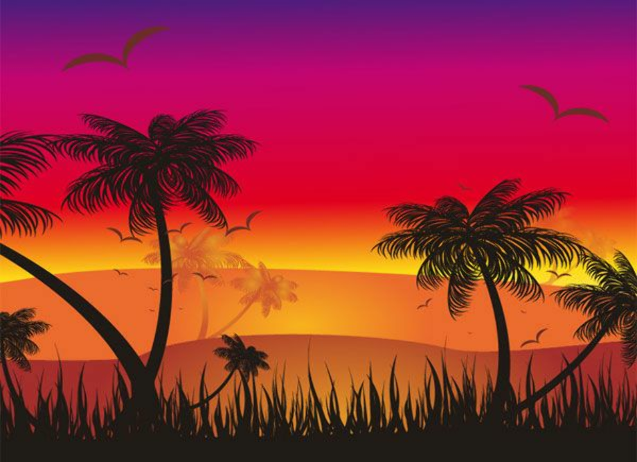 Download High Quality sunset clipart tropical Transparent PNG Images