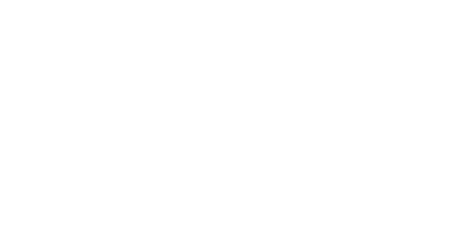 the north face logo outdoor