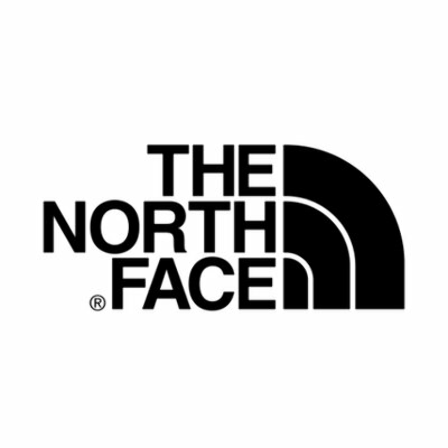 the north face logo old