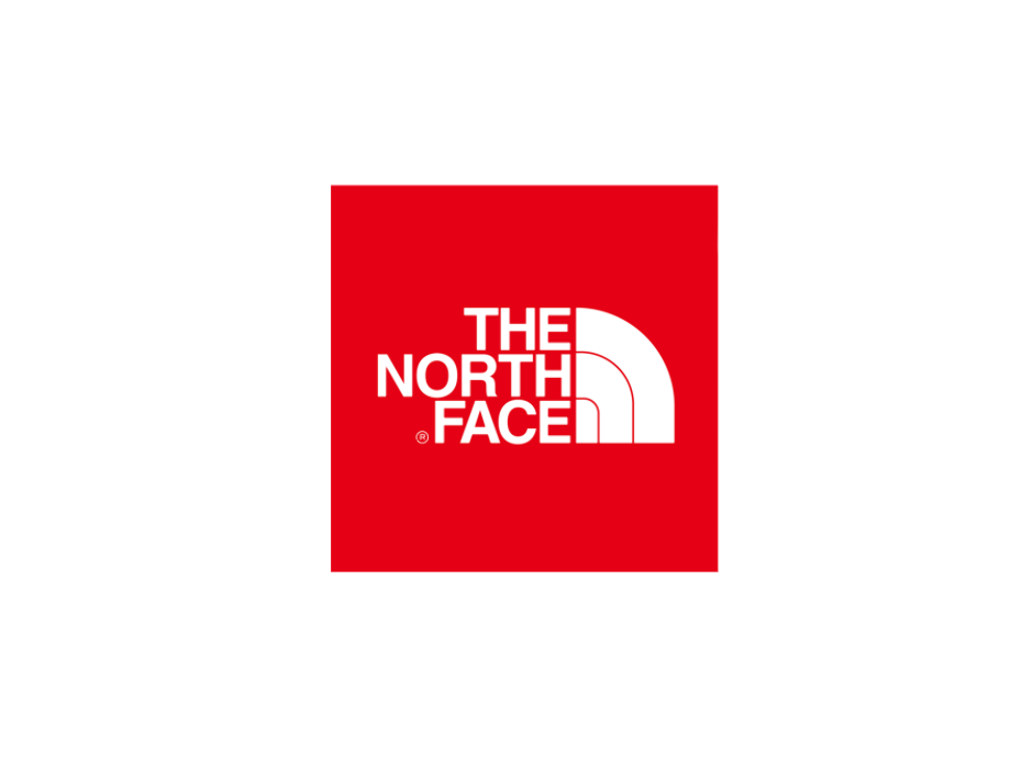 the north face logo small