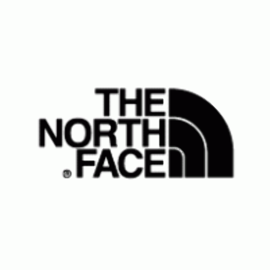 the north face logo white