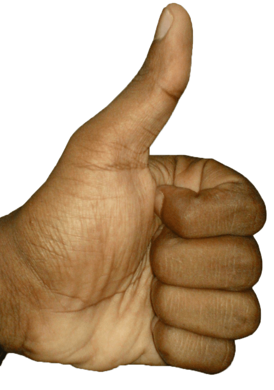 Download High Quality thumbs up transparent brown Transparent PNG
