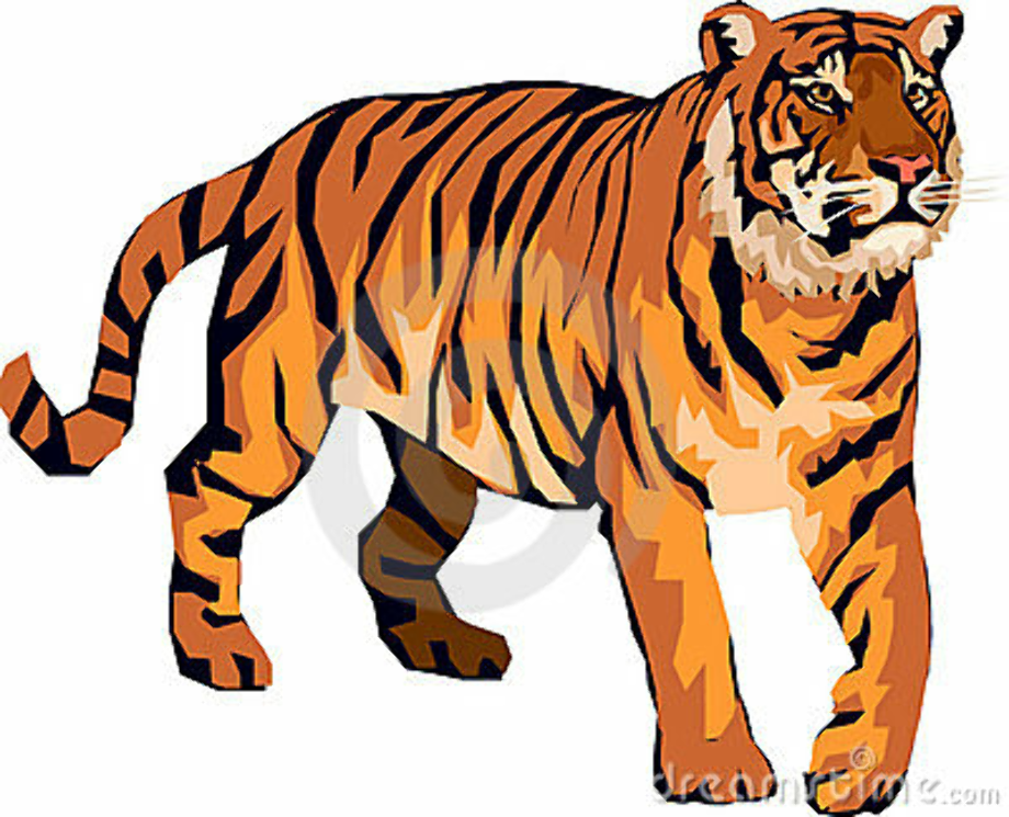 tiger clipart angry