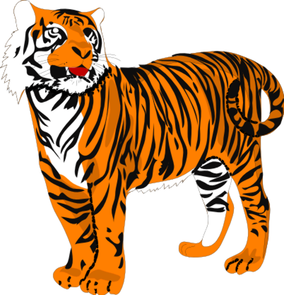 tiger clipart realistic