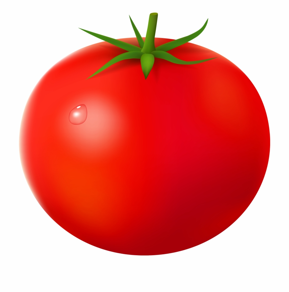 tomato clipart clear background