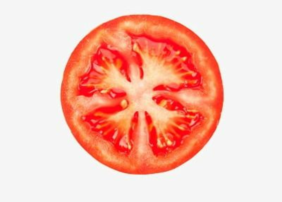 tomato clipart slice