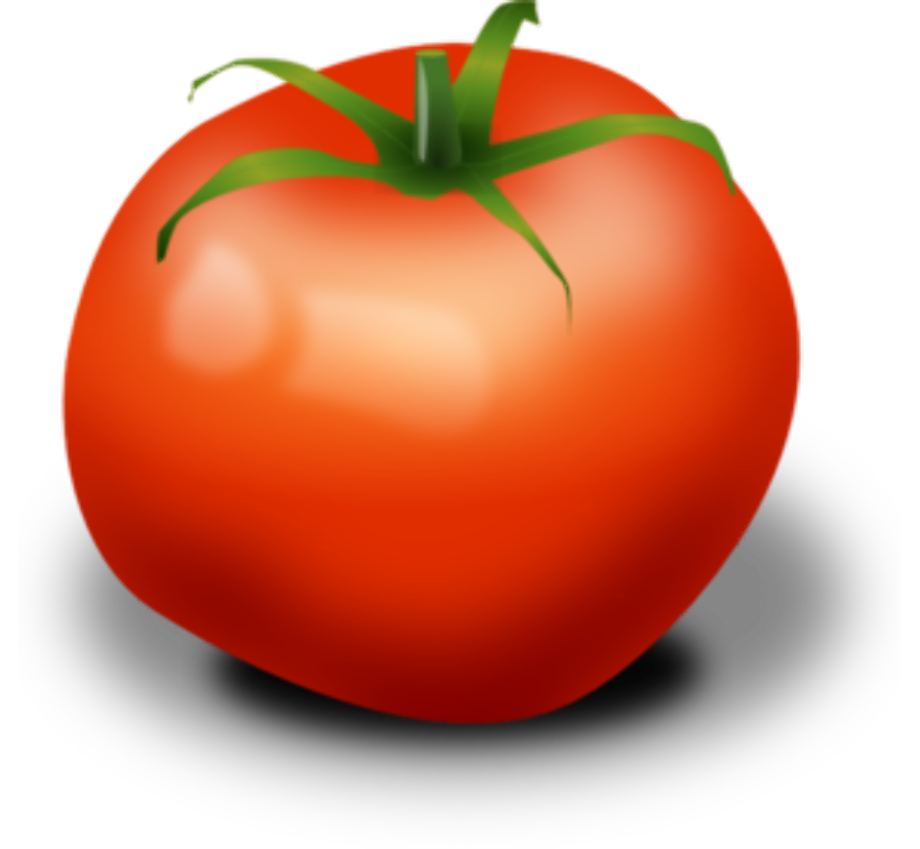 tomato clipart small