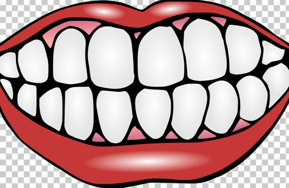 Download High Quality tooth clipart cartoon Transparent PNG Images