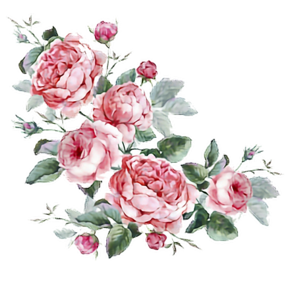 Download High Quality flowers transparent aesthetic Transparent PNG