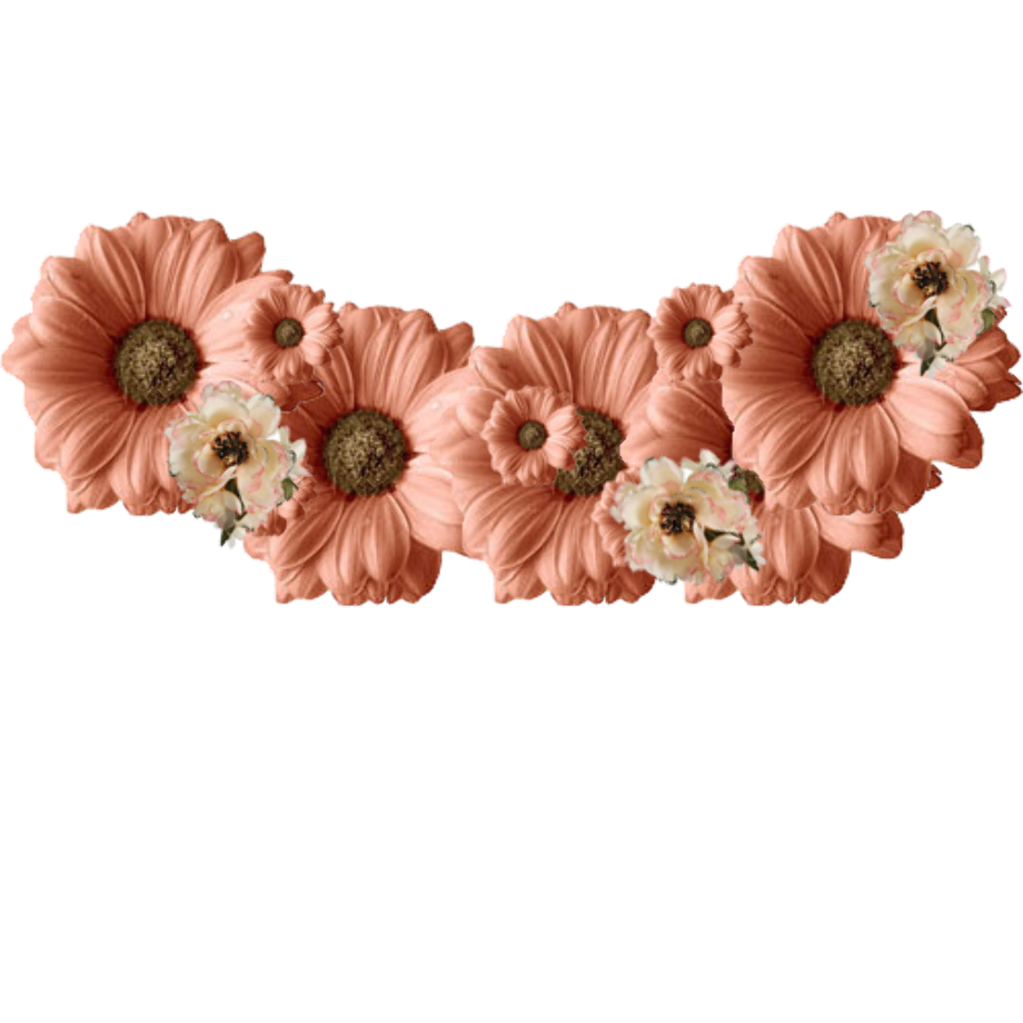 Download High Quality transparent flower crown brown Transparent PNG