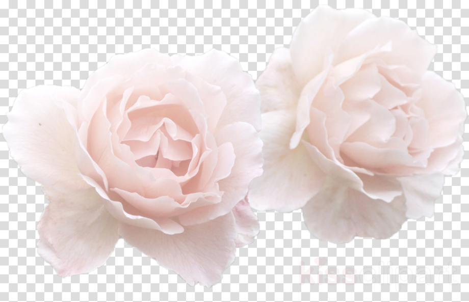 Download High Quality transparent flower crown white Transparent PNG